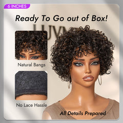 Throw On & Go Brown Highlight / Natural Black Short Bouncy Curls with Bangs Glueless Wig 100% Human Hair - US Only