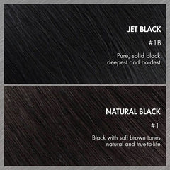 Jet Black Loose Body Wave Glueless 5x5 Closure Lace Wig 100% Human Hair